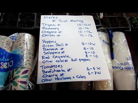 How I Made $1000 Selling Vegetable Plants E-2: Best Plants, When to Plant & Where & When to Sell