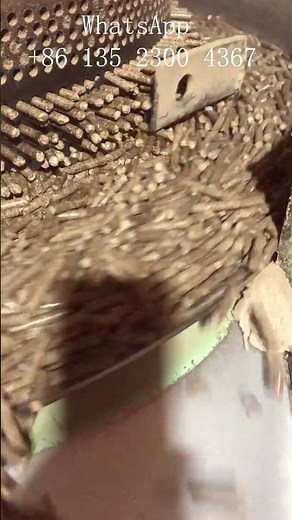 How to make burning heating pellets? Use this biomass wood pellet machine to process it!