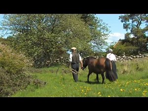 Gotländsk Sommarnatt