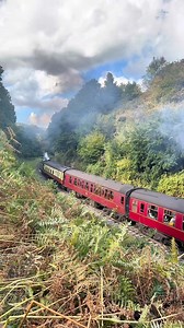 First day of the Autumn Steam Gala on the North Yorkshire Moors Railway | The North Yorkshire Gallery Whitby
