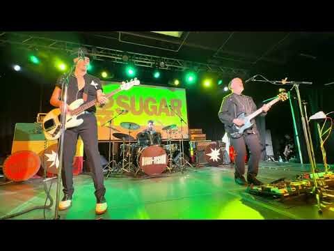 Big Sugar-Turn the Lights On