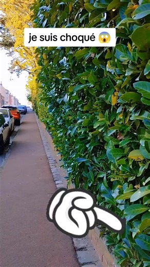 Qui surveille ton compte TikTok ?