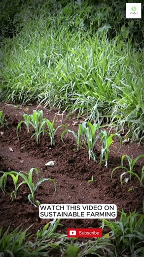 The Future of Sustainable Farming