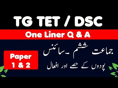TG Tet Urdu Medium Question Paper EVs classes as Previous year Syllabus @ Yousuf khan Zahirabad