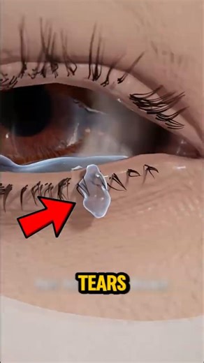 If You Think You Know Why You Cry… You Don’t🤔