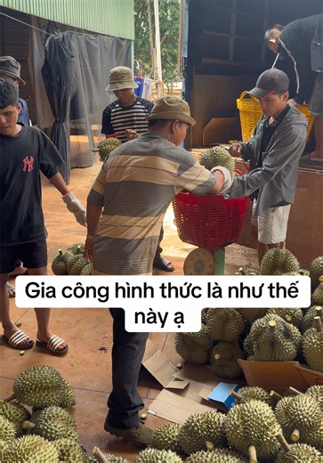 Gia công hình thức là như thế này ạ - Liên hệ nhận gia công