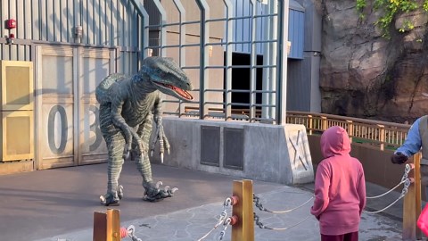 Meeting Blue in Jurassic World at Universal Studios Hollywood
