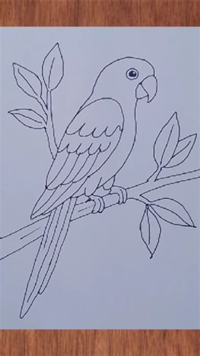 beautiful parrot drawing 🦜🦜#parrot #easydrawing #howtodraw