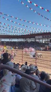 Angola rodeo 2025 part 2