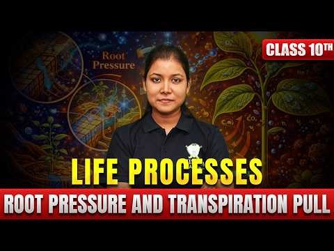 Root Pressure & Transpiration Pull Explained 🌿 | Water Transport in Plants | Class 10 | Varsha Mam