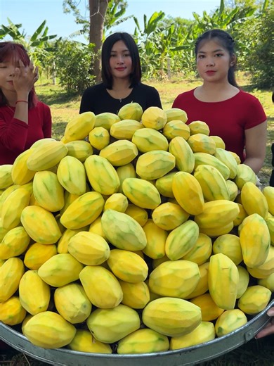 Delicious 300 Mango Sauce Recipe