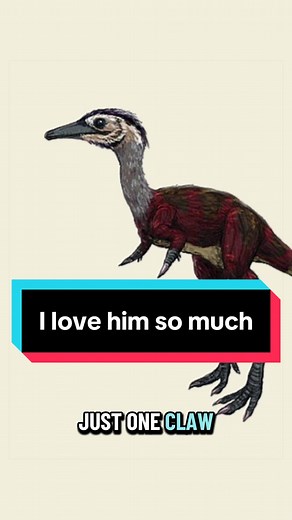 Meet Shuvuuia: The Ridiculous Dinosaur You Need to See!