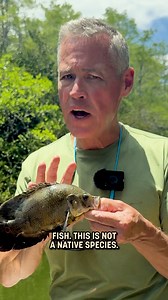 922K views · 12K reactions | Watch Wildlife Nation: Expedition...