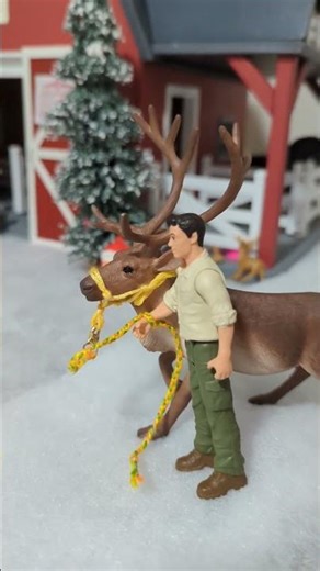 Let's take Comet for a walk! 🦌✨💗 #reindeer #mojo #walk #minivlog #veterinarian #shorts #capcut