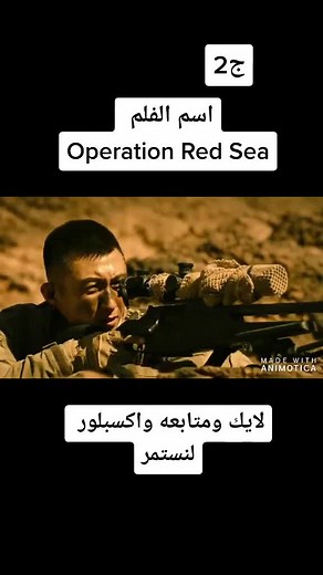 Operation Red Sea: Military Operations Explored