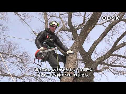 ワークポジショニング パート２ (Work Positioning Part 2)