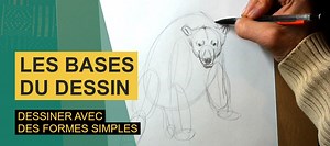 TUTO Les Bases du Dessin : Dessiner avec des formes simples sur Tuto.com