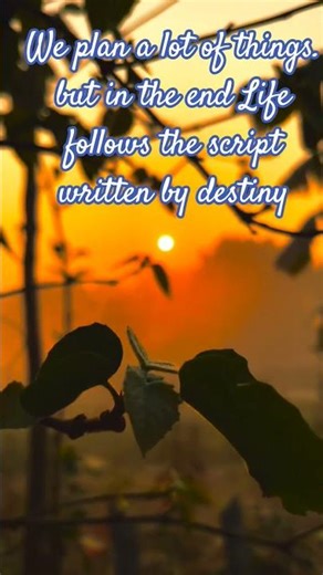#We plan a lot of things. but in the end Life follows the script written by destiney