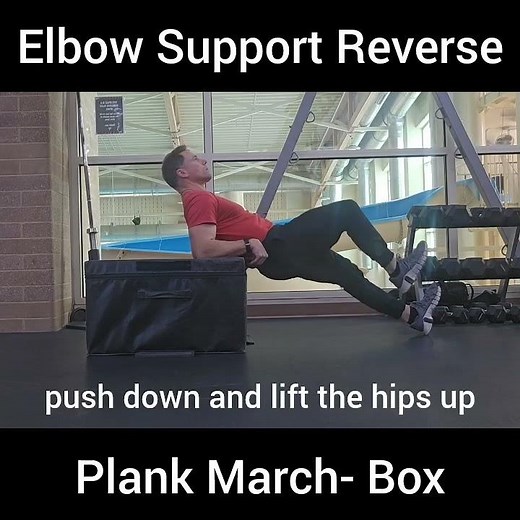 Elbow Support Reverse Plank March- Box or Bench