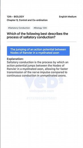 Saltatory Conduction Explained 12th Biology Control and Co ordination