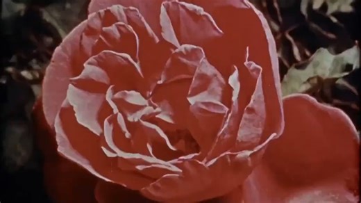 78K views · 2.8K reactions | Remembering rugged Rod Taylor, born today in 1930 and best remembered for piloting The Time Machine in George Pal's groundbreaking 1960 adaptation of H.G. Wells' timeless novel. | Vintage Geek | Facebook