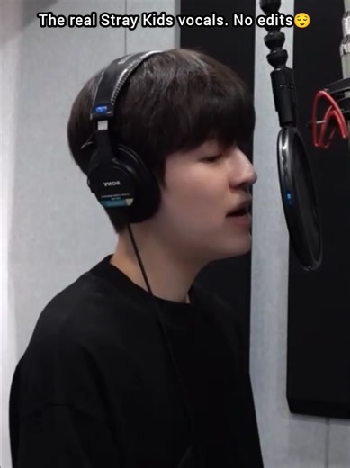 Seungmin dan Lee Know: Kenangan Stray Kids