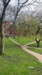 2.7K views · 35 reactions | To celebrate #WomensHistoryMonth, we're re-sharing our video from last year that highlights 2 important Preston based women who fought for change and had a big impact on local (& national) history. Learn more about the incredible lives of Beatrice Todd and Edith Rigby, narrated by journalism Content Creator, Ellie Browning ️  Photo credit: Friends of Winckley Square, Lancashire Evening Post #MyPreston | University of Lancashire | Facebook