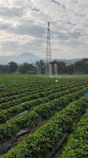 L'innovation au cœur de l'agriculture moderne