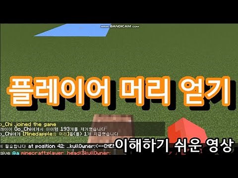 마인크래프트 명령어-플레이어 머리 얻는 방법