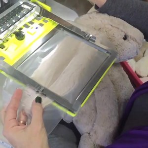 4.3K views · 32 reactions | A little behind the scenes fun of our bunny love! #sweetteapies #monogram #behindthescenes #jellycat #video #childrensboutique | Sweet Teas Children's Boutique | Facebook