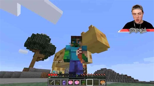 Minecraft But There Are Custom Pets...