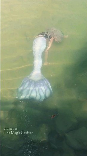 LIVE MERMAID PERFORMANCE IN A RIVER (Northern Michigan Mermaid)