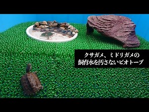 もうこれで汚さない カメビオトープ飼育構想