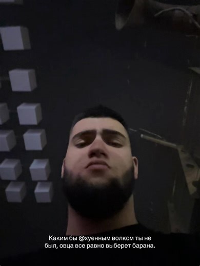 The Choice Between a Wolf and a Sheep: A Profound Insight