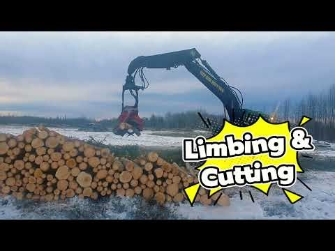 Dangle head processor short wood logging