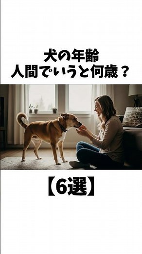 犬の年齢、人間でいうと何歳？【6歳】 #犬 #ペット #動物 #雑学