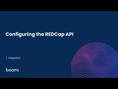 Configuring the REDCap API