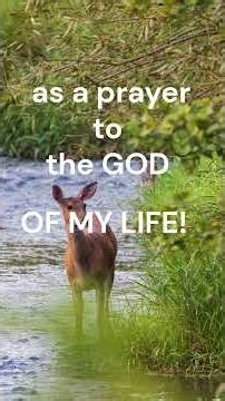 Psalm 42:6-11 as an Irish Pop Duet! The Bible set to Music! Learn, Study & Memorize the Word of God!