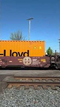 CN 8882, 8909 Westbound intermodal container in well car train. Tropical. Vicksburg, MI