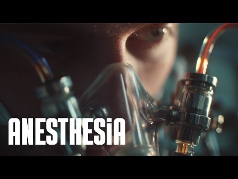 The Complete History of Anesthesia From Ancient Pain Remedies to Modern Surgery Without Suffering
