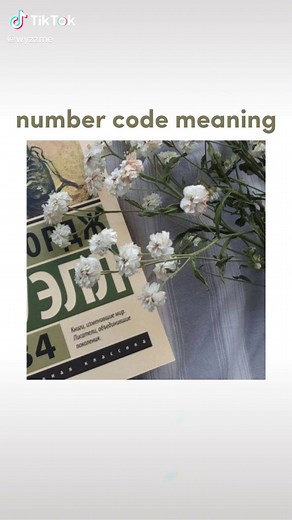 Meaning of Hidden Number Codes Explained