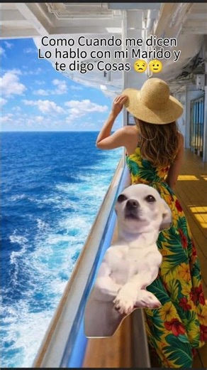 Si si tú sigue preguntando q yo viajo🫢😎