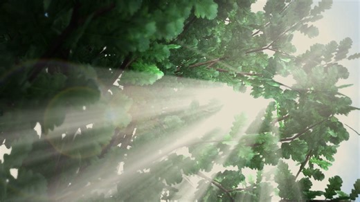 Vegetation types, extreme events and the carbon cycle - eo science for society