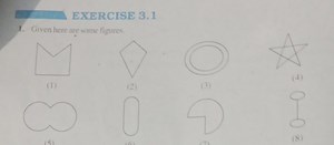 Exercise 3.1Given here are some figures:(1) A polygon with 5... | Filo