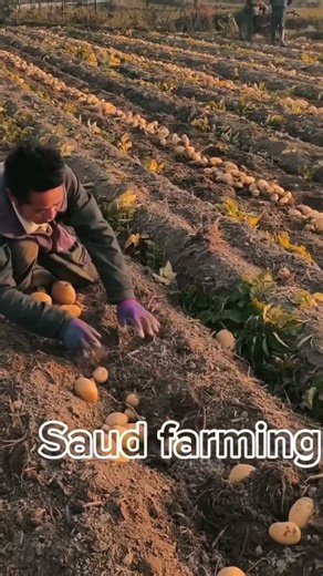 Modern farming techniques