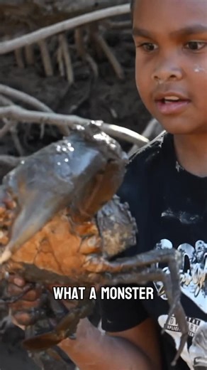 Australian 4WD Adventure Shows on Instagram: "Monster mud crabs in WA’s north! #marklecras #marklecrasfishing #mudcrabs #bundabundatours #dampierpeninsula #catchingtonightsdinner #catchoftheday #westernaustralia #adventure"