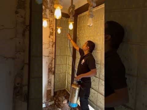 Pre-Renovation Termite Inspection & Treatment in Preet Vihar, East Delhi by Ozone Pest Control