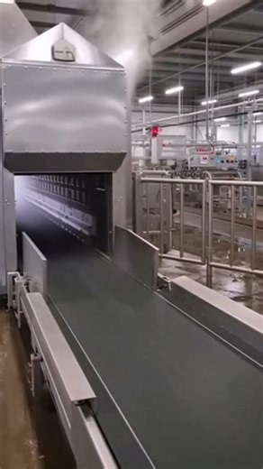 Beef Sausage Production Process | How Beef Sausages Are Made for Human Consumption