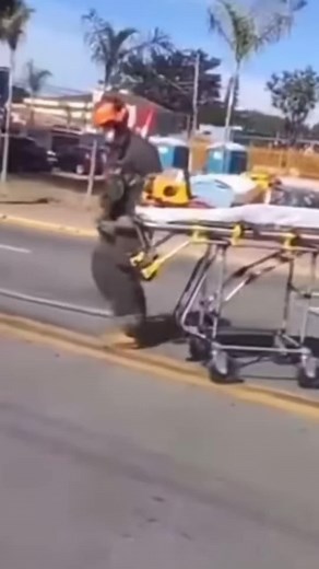 Promotion special jusqua la fin du mois chez Banditos! #fypmoris #moris #mauritiusfood🇲🇺 #mauritius🇲🇺