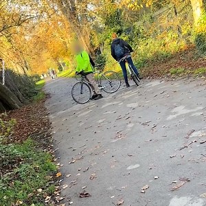 186K views · 393 reactions | My dog got profiled | Go Fetch | Facebook